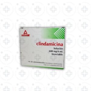 CLINDAMICINA 600 MG / 4 ML SOL. INY. C/5. AMSA