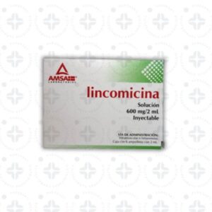 LINCOMICINA 600 MG/ 2 ML SOL. INY. C /6